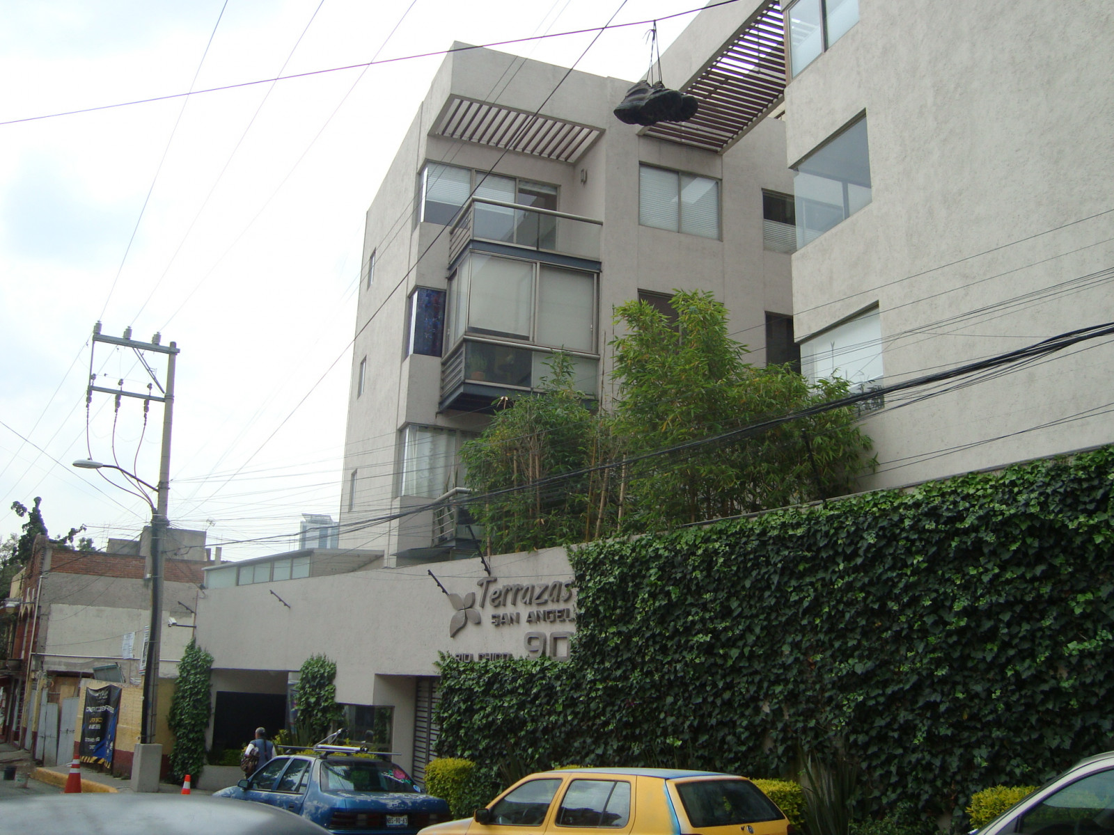 dsc09147.jpg