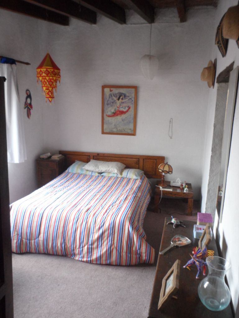 galeana1.jpg