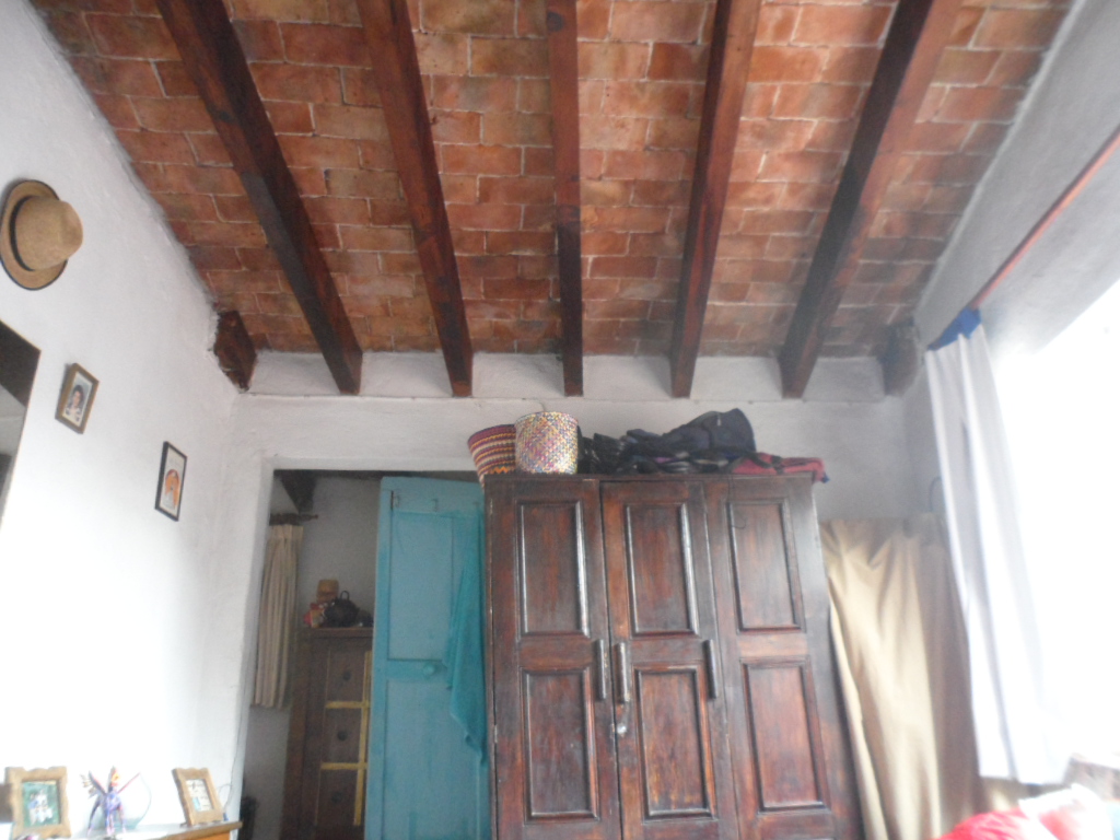 galeana2.jpg