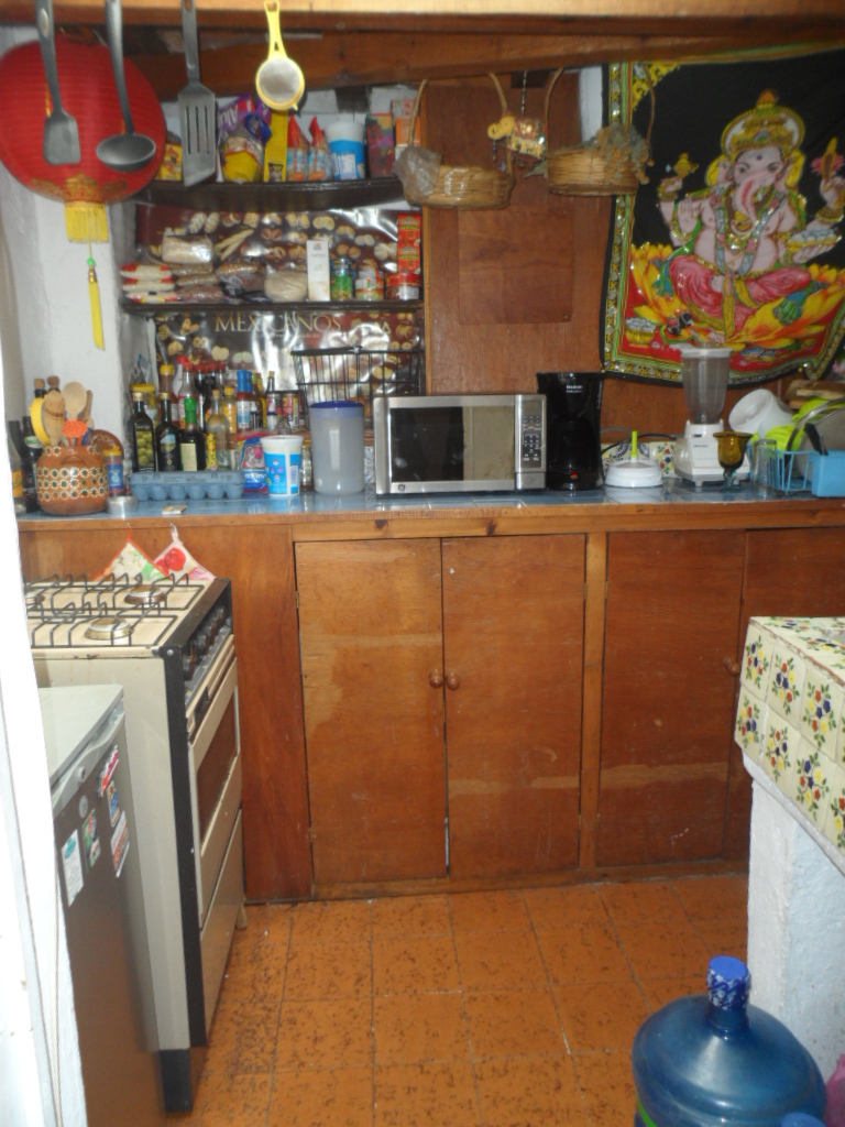 galeana3.jpg