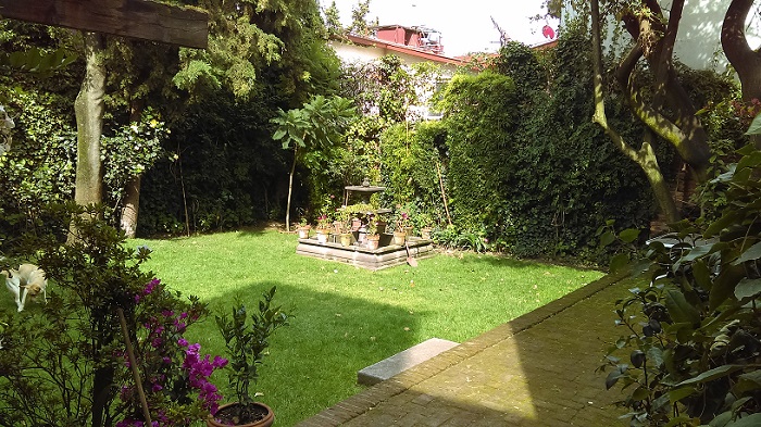 imag0065.jpg