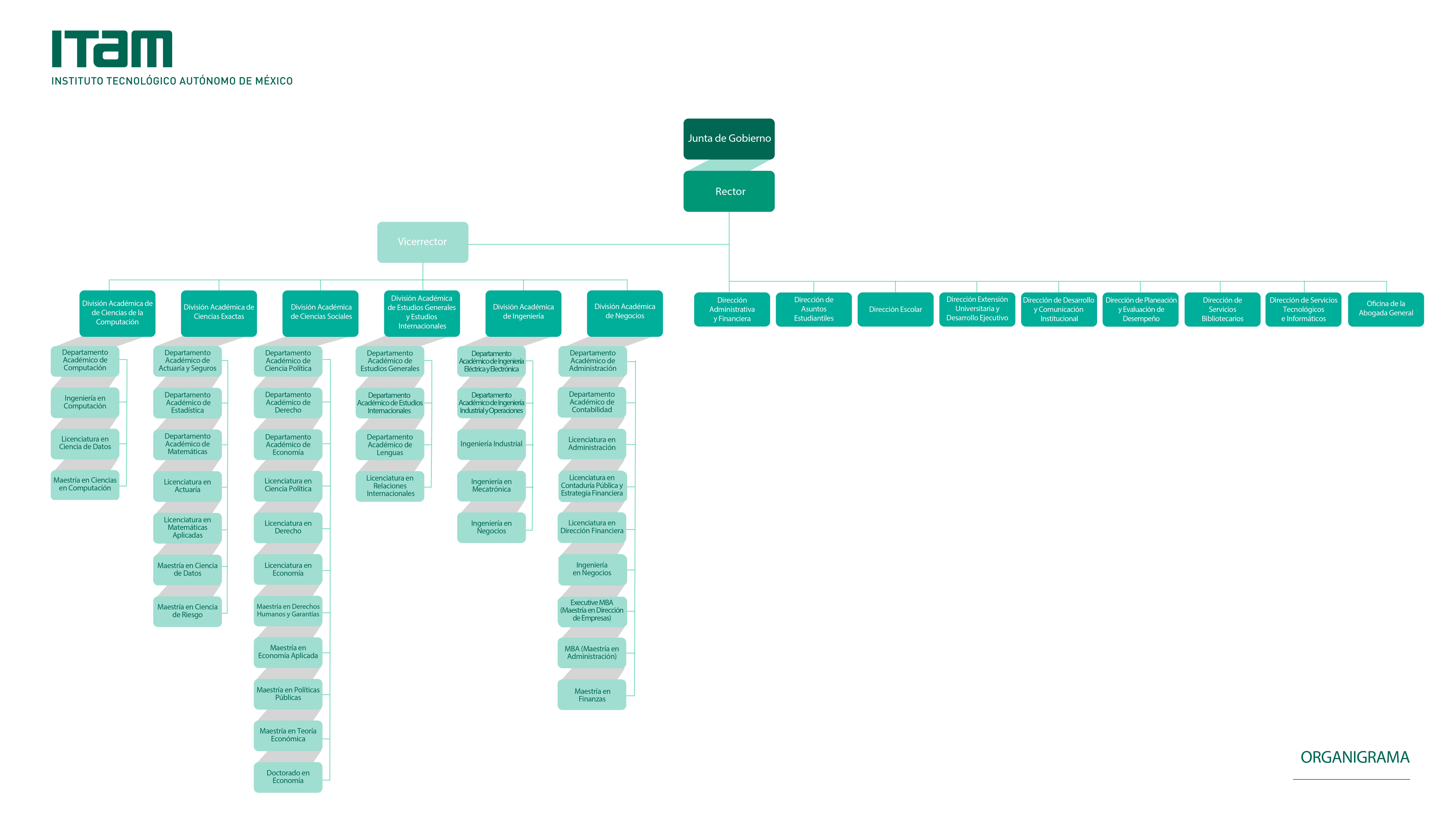 Organigrama - ITAM