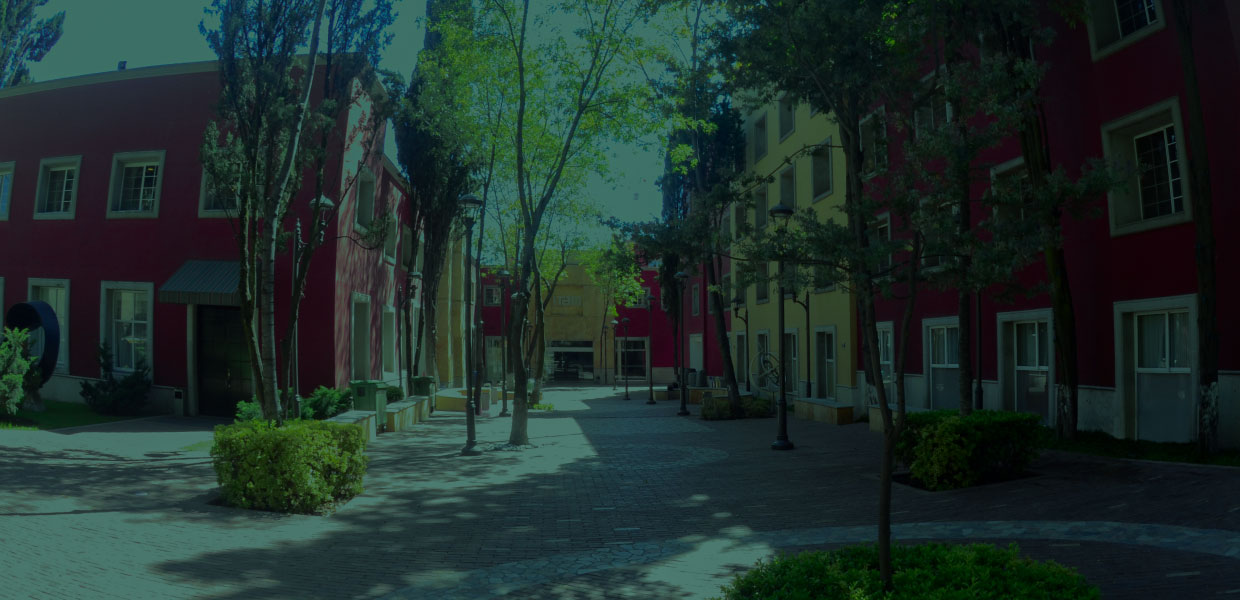 //www.itam.mx/sites/www.itam.mx/files/revslider/image/banners-RS_15.jpg