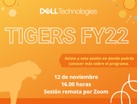 Póster Dell Tigers