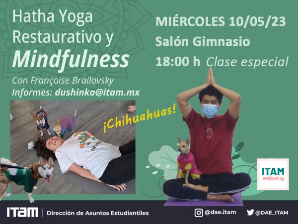 Programa ITAM Wellbeing